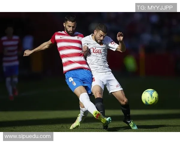 贝济耶与布雷斯特比赛比分分析及历史交锋数据对比 贝济耶与布雷斯特比赛比分分析及历史交锋数据对比